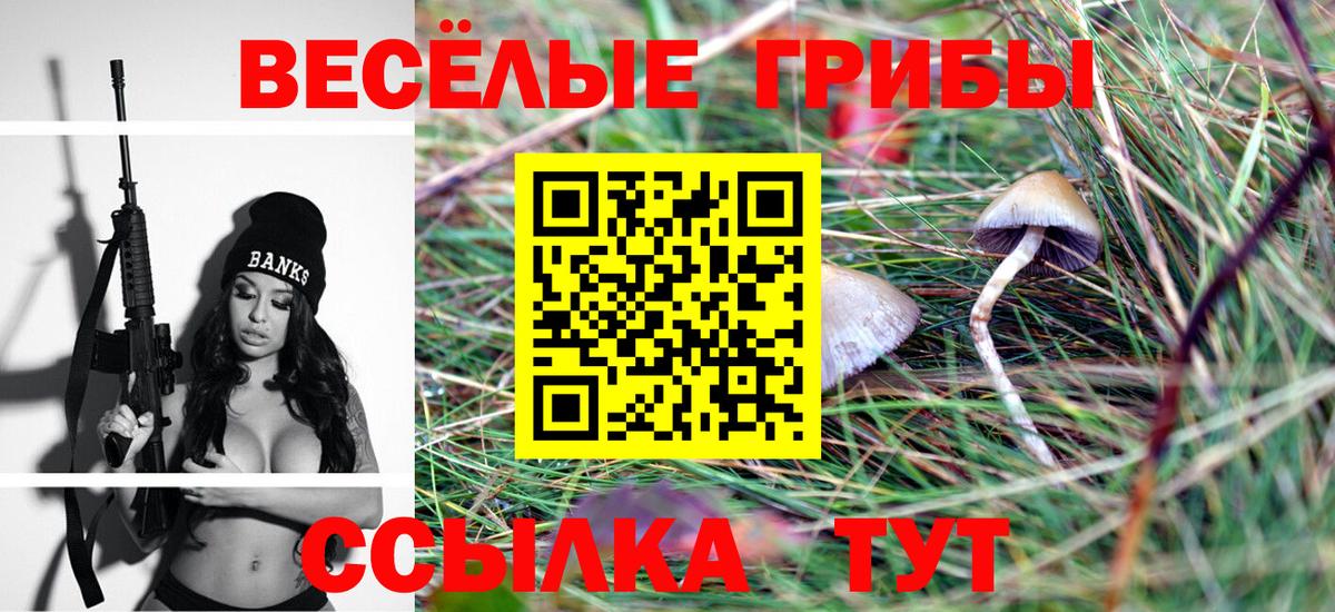 Галлюциногенные грибы прущие грибы Углич